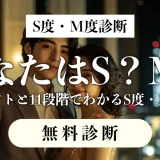 S度・M度診断